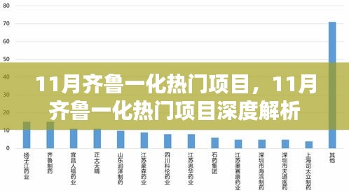 11月齐鲁一化热门项目深度解析与探讨