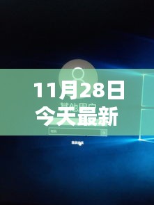 11月28日最新开机号产品全面评测与介绍