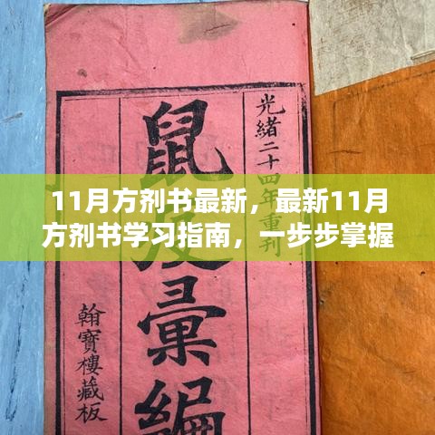 最新11月方剂书学习指南，掌握方剂知识的步骤与技巧