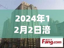 2024年涪陵热门二手房深度解析，市场特性与用户体验