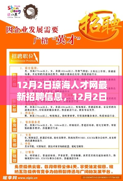 12月2日琼海人才网最新招聘信息汇总与全解析