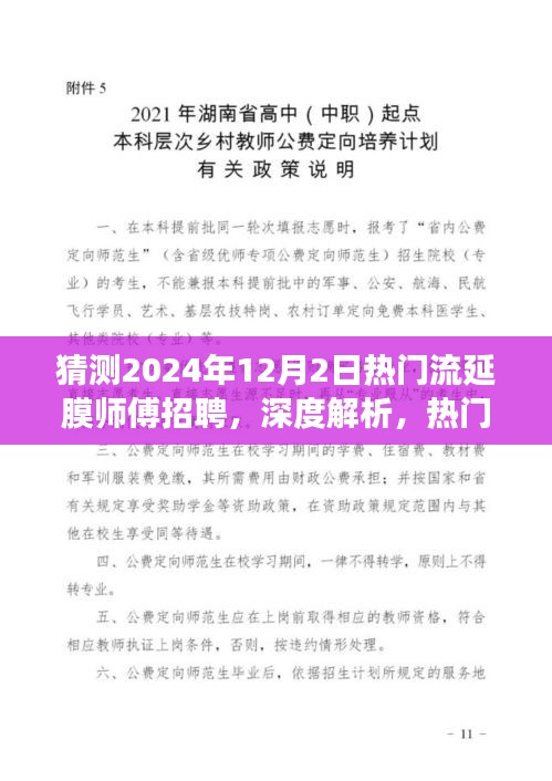 建议，2024年热门流延膜师傅招聘趋势深度解析与行业应用展望