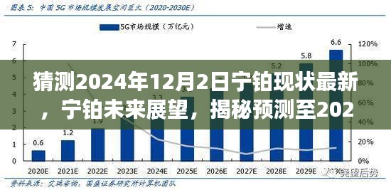 2024年12月3日 第25页