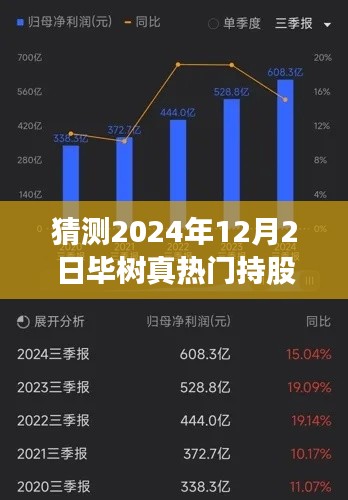 毕树真热门持股动向分析，预测未来趋势与动向展望（2024年视角）