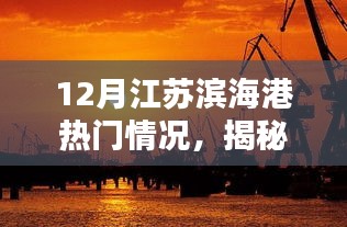 揭秘江苏滨海港冬季魅力与活力，热门情况深度解析