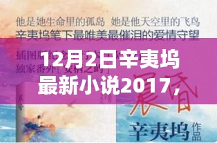 辛夷坞最新小说XXXX年深度解析与观点探讨，2017版回顾与探讨