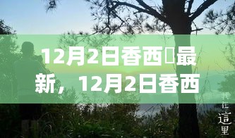 香西咲最新动态，解锁冬日独特魅力之旅