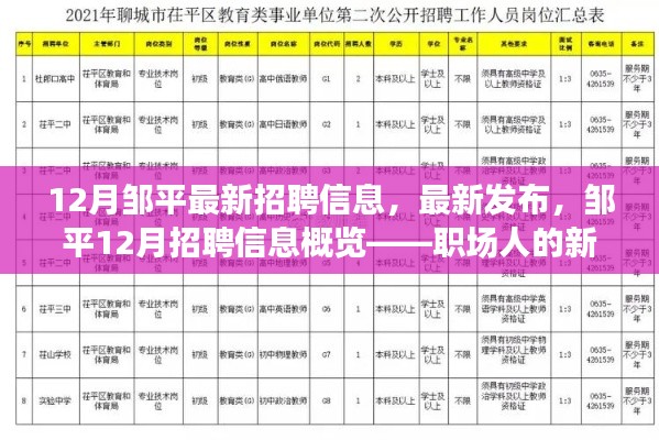 邹平12月最新招聘信息概览，职场人的新选择选择