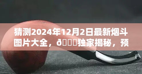 2024年12月4日 第19页