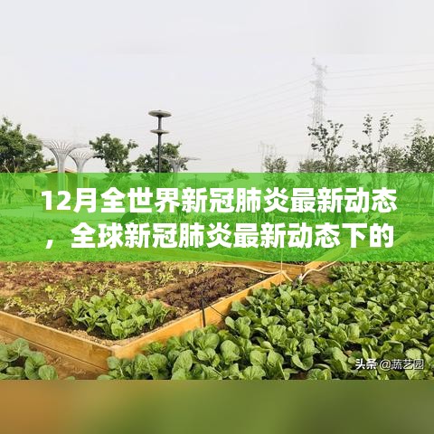 全球新冠肺炎最新动态下的励志篇章，学习、自信与成就感的闪耀时刻