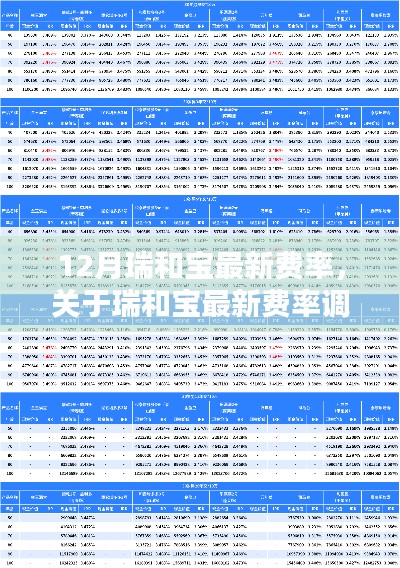 深度解析瑞和宝最新费率调整，要点探讨与详细费率表（附最新费率）