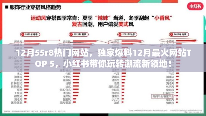 12月热门网站TOP 5独家爆料，小红书引领潮流新领地