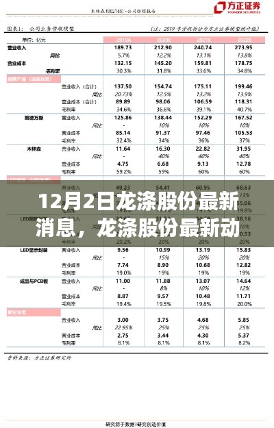 12月2日龙涤股份最新消息，龙涤股份最新动态评测报告，产品特性、使用体验与目标用户分析