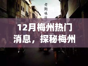 2024年12月4日 第3页