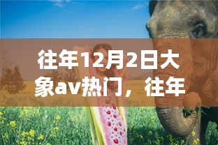 揭秘往年12月2日大象AV热门背后的真相与谣言界限