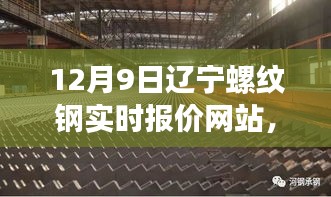 辽宁螺纹钢实时报价网站与探索自然美景背后的宁静故事