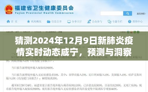 咸宁地区新肺炎疫情实时动态展望至2024年12月9日，预测与洞察