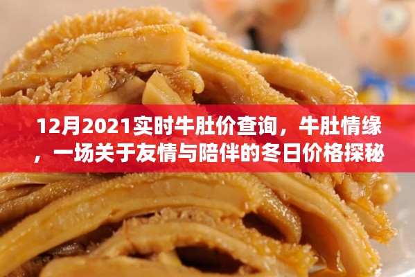 牛肚情缘，冬日价格探秘之旅与友情的温暖相伴