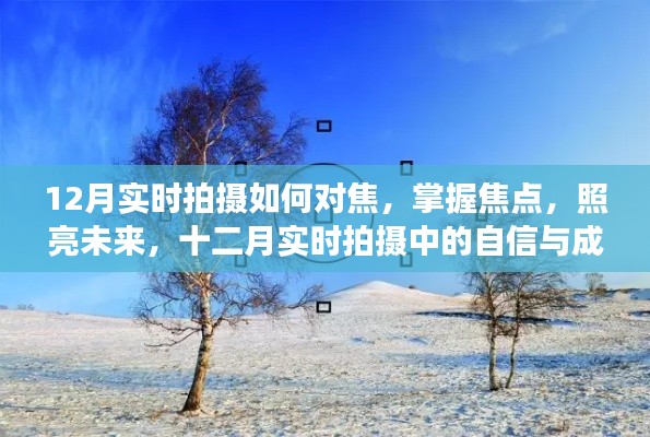 十二月实时拍摄技巧，对焦、掌握焦点，照亮未来之路，自信成长之旅