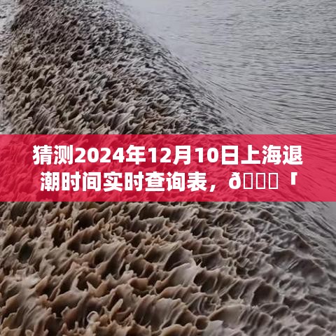 掌控海洋潮汐律动，智能潮汐时间查询表预测上海退潮时间