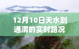 探秘天水至通渭路途中的隐藏瑰宝，实时路况下的惊喜邂逅（12月10日更新）