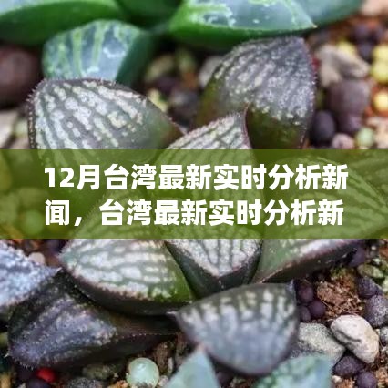 台湾最新实时分析新闻深度解读，十二月动态与趋势观察