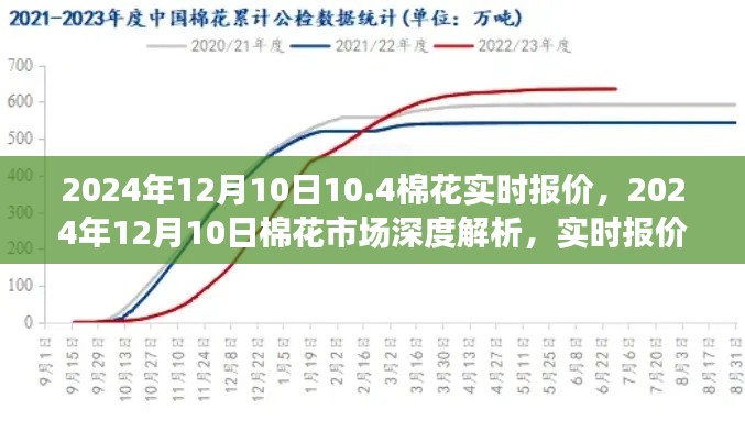 2024年12月10日棉花市场深度解析，实时报价与趋势展望