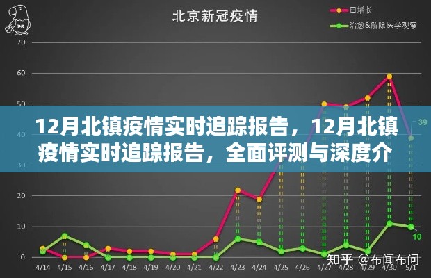 12月北镇疫情全面追踪报告，实时更新与深度解析