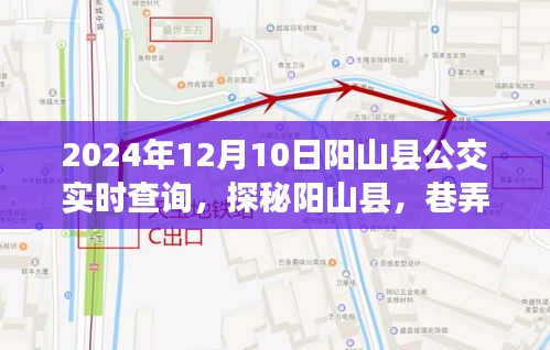 探秘阳山县公交奇缘，实时查询与特色小店惊喜之旅