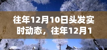 往年12月10日头发流行趋势与实时动态回顾