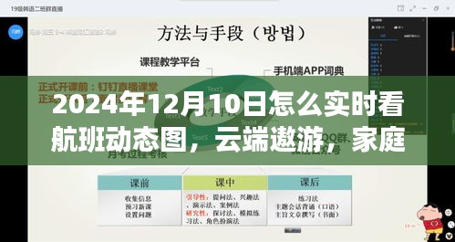 云端遨游，如何实时观看航班动态图的奇妙一天（2024年12月10日）