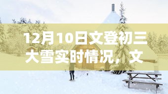 文登初三大雪下的思考，实时情况分析与应对策略阐述