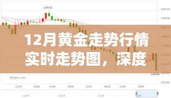 深度解析，12月黄金走势行情实时走势图及全面评测报告