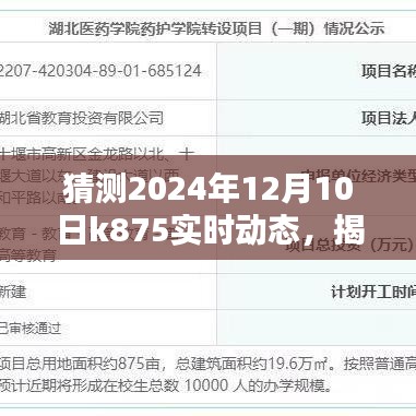 揭秘未来之门，K875在2024年12月10日的实时动态预测分析