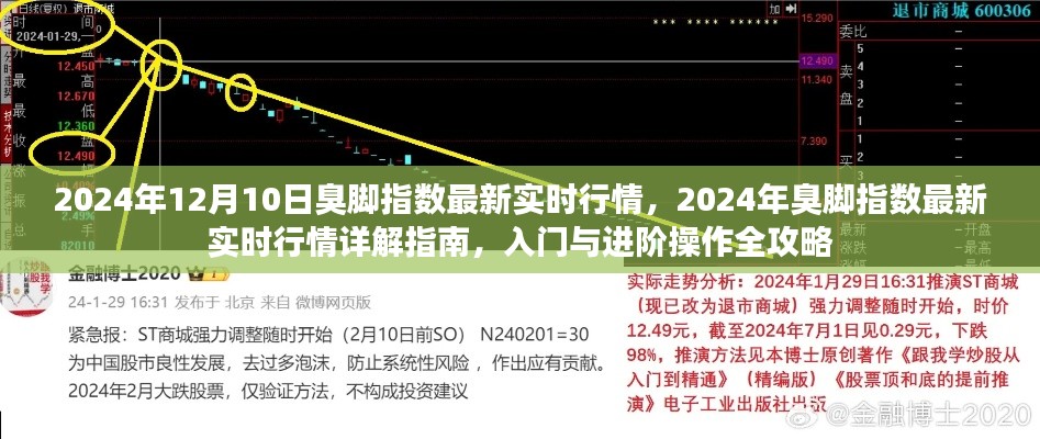 2024年臭脚指数实时行情详解，入门、进阶全攻略