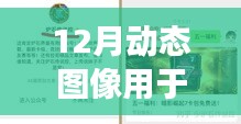 实时控制领域的新星，动态图像技术在十二月的深度进展与影响