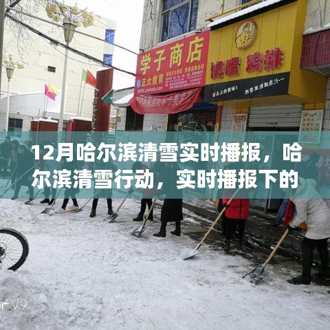 哈尔滨清雪行动，实时播报下的城市管理与效率探讨