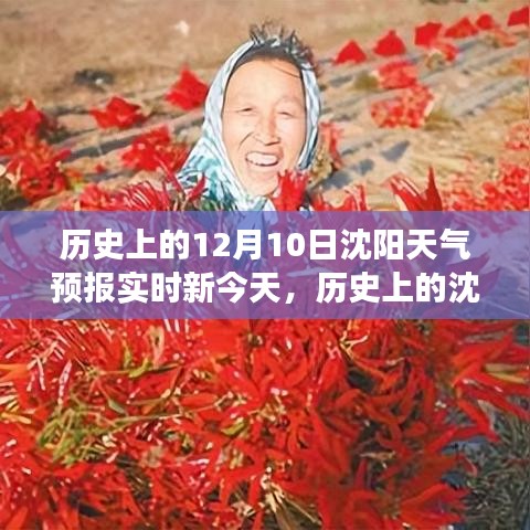 揭秘沈阳十二月十日风云变幻，历史上的天气预报与实时天气预测新今天