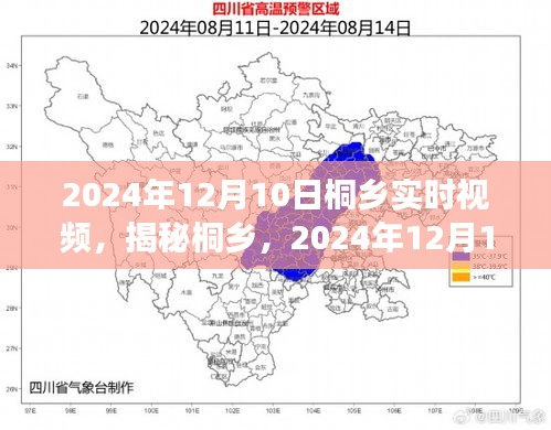 揭秘桐乡，2024年12月10日实时视频观察报告与全方位观察体验