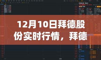 拜德股份12月10日实时行情解析与投资指南