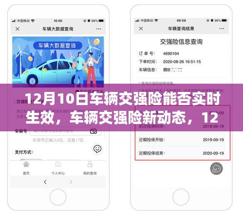 12月10日车辆交强险新动态，即时生效的暖心时刻与奇妙经历分享