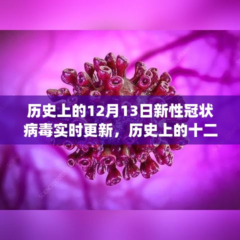 历史上的十二月十三日，新冠病毒实时更新之旅回顾