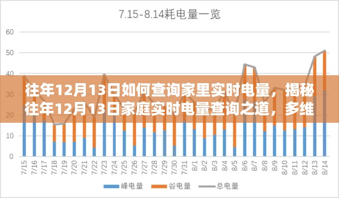 揭秘往年12月13日家庭实时电量查询方法与多维度解析观点分享