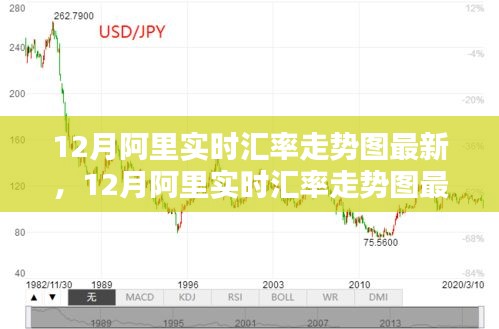 12月阿里实时汇率走势图最新详解与操作指南