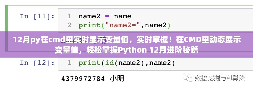 Python 12月进阶秘籍，实时掌握变量值，轻松在CMD中动态展示