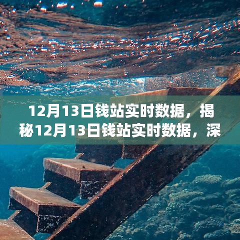 揭秘钱站实时数据，深度解读三大要点（12月13日）