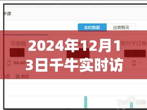 千牛实时访客系统关闭深度解析，影响、原因及未来展望（2024年12月13日版）