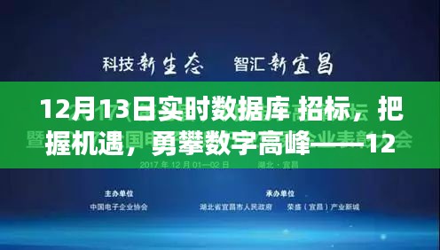 12月13日实时数据库招标，勇攀数字高峰的励志之旅