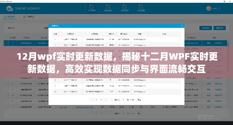 揭秘十二月WPF实时数据更新，高效同步与流畅交互的实现之道