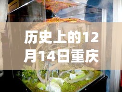 重庆科技新纪元，历史上的12月14日实时动态揭秘高科技魅力之旅